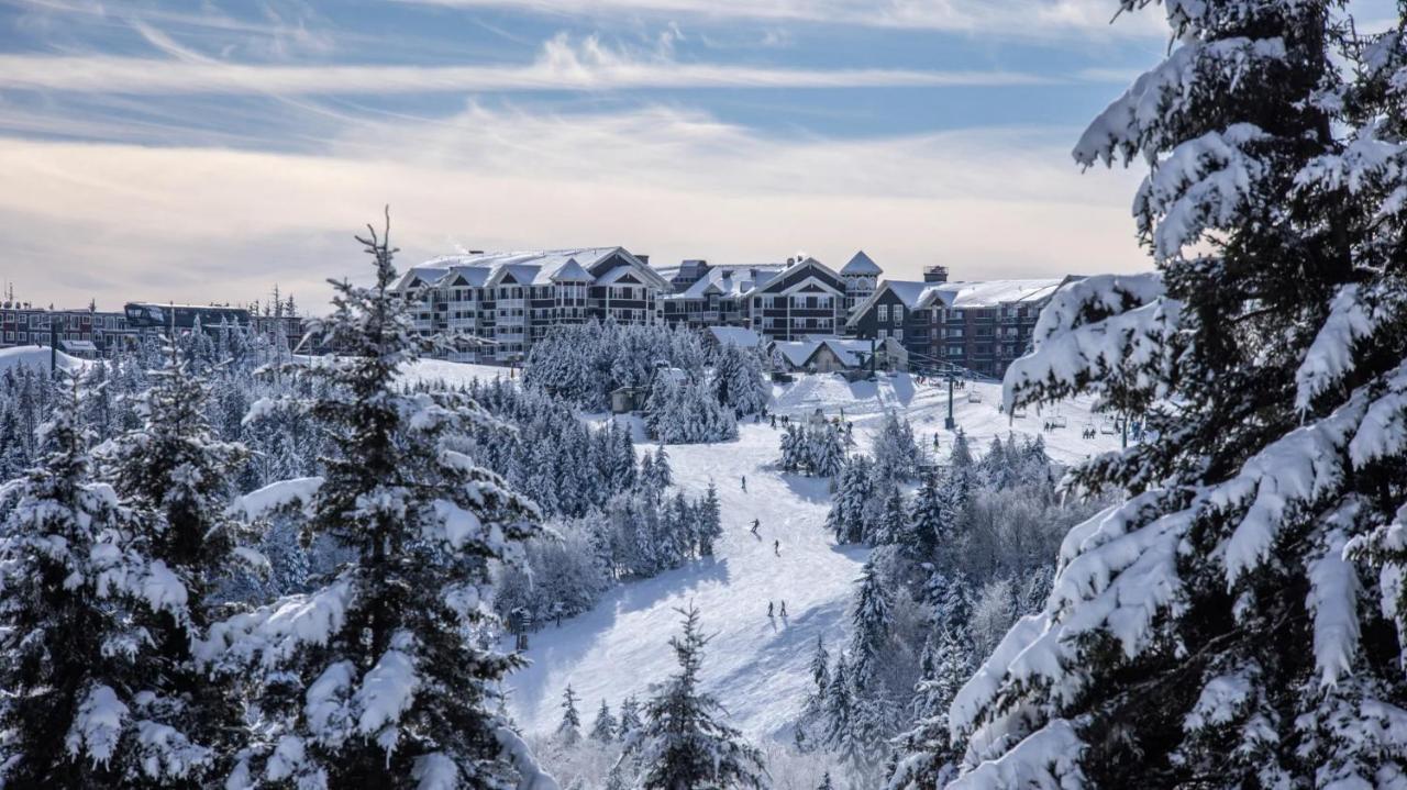 Snowshoe Ski-In & Ski-Out At Silvercreek Resort - Family Friendly, Jacuzzi, Hot Tub, Mountain Views Esterno foto