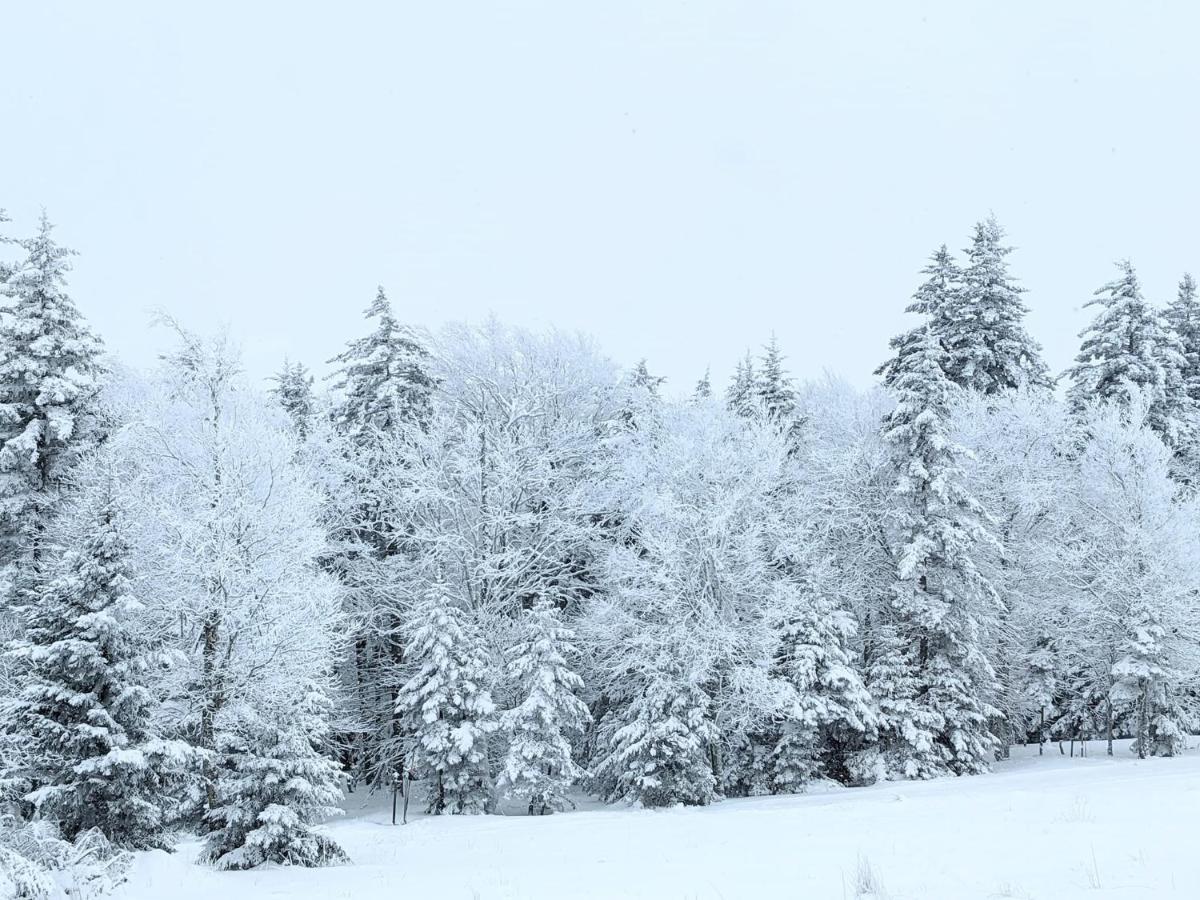 Snowshoe Ski-In & Ski-Out At Silvercreek Resort - Family Friendly, Jacuzzi, Hot Tub, Mountain Views Esterno foto